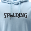 Spalding Hoody Men SS23 - Afbeelding 18